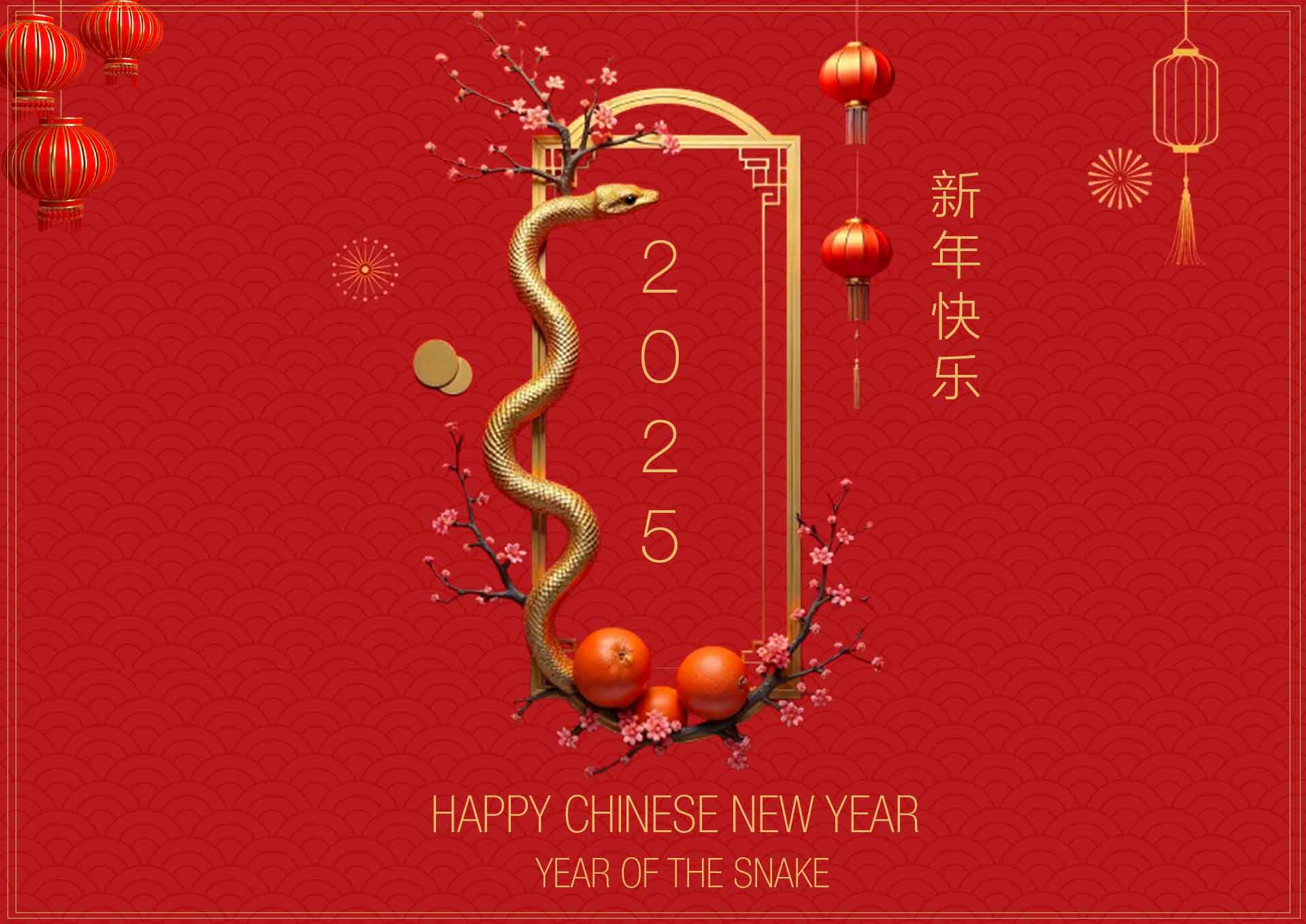 we wish you a happy chinese new year 2025